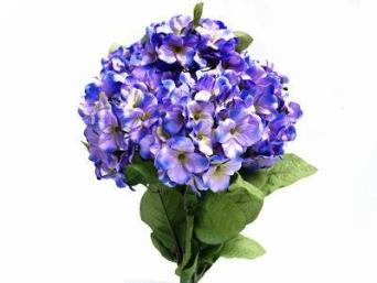 Purple Hydrangea Bush-7ct Purple Hydrangea Bush-7ct